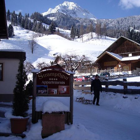 Strampflgut Apartman Dorfgastein Kültér fotó